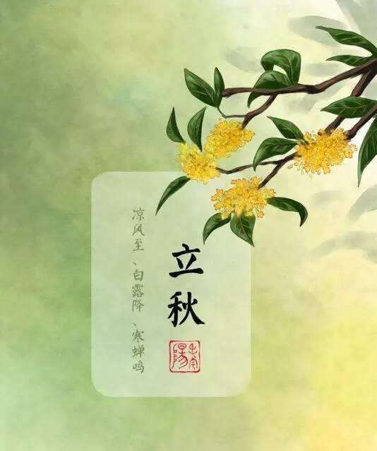 第372页
