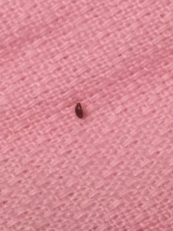 第328页