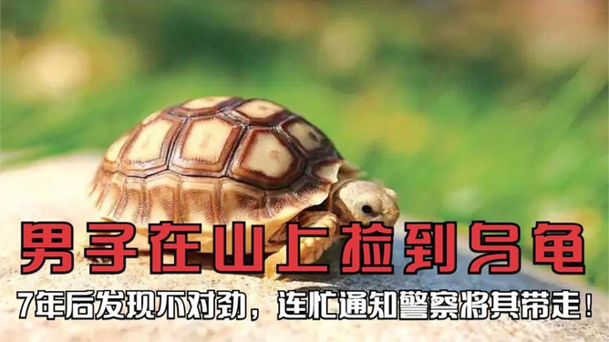 第251页